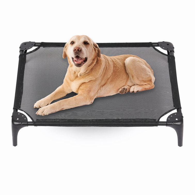 Tucker Murphy Pet™ Original Elevated Pet Bed,Cooling Elevated Dog Bed